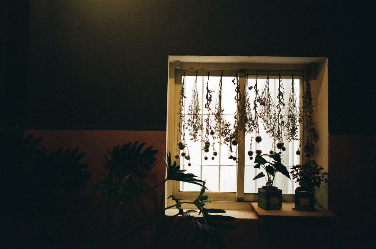 Appartement Camellia à Taipei Extérieur photo